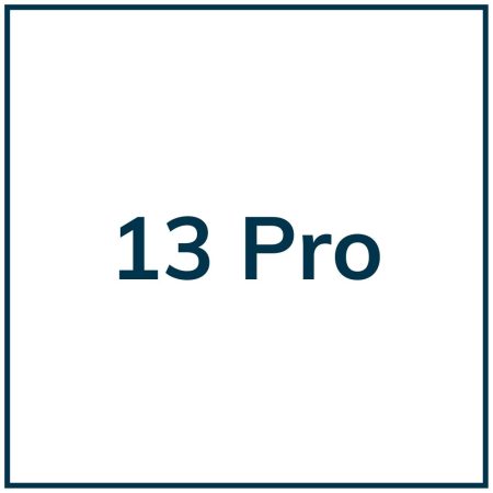 13pro